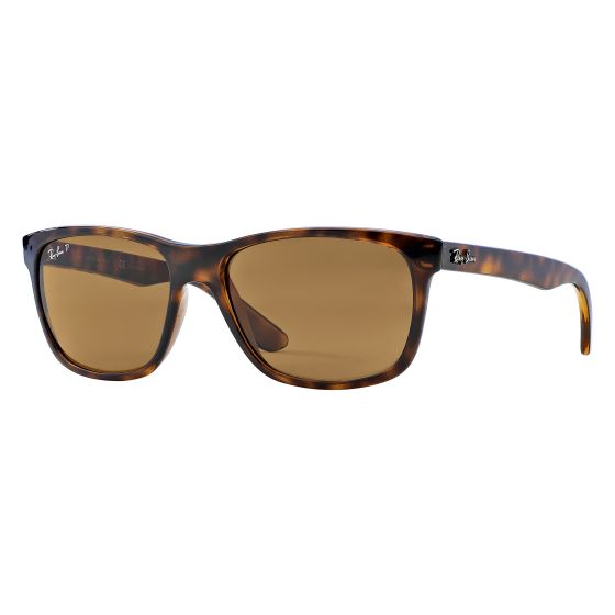 Polarized RB4181 Sunglasses