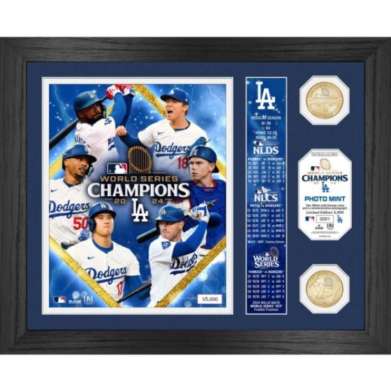LA Dodgers 2024 World Series Banner Photo Mint