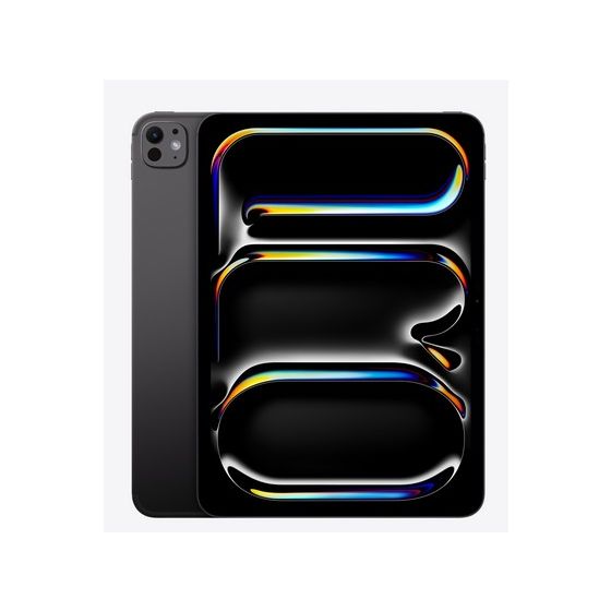 11-inch iPad Pro WiFi 2TB with Standard glass - Space Black