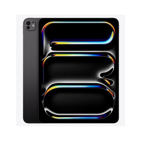 13-inch iPad Pro WiFi + Cellular 512GB with Standard glass - Space Black