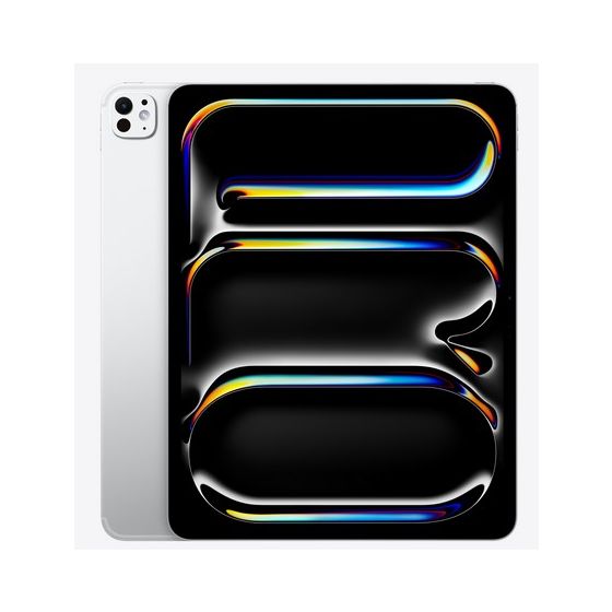 13-inch iPad Pro WiFi + Cellular 256GB with Standard glass - Silver