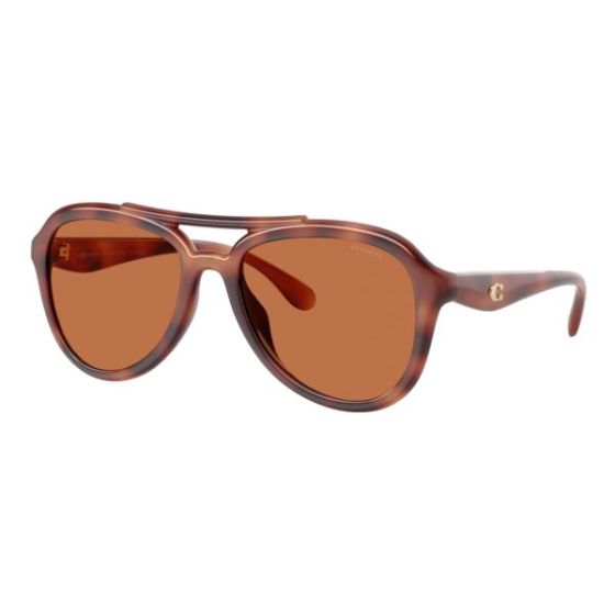 Tabby Pilot Sunglasses