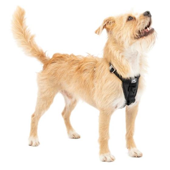 Tru-Fit Enhanced Strength Smart Harness - X-Small Black
