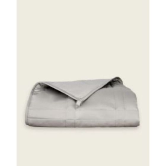 15lb Full/Queen Weighted Blanket Silver Sage