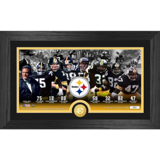 Pittsburgh Steelers Dynasty Photo Mint