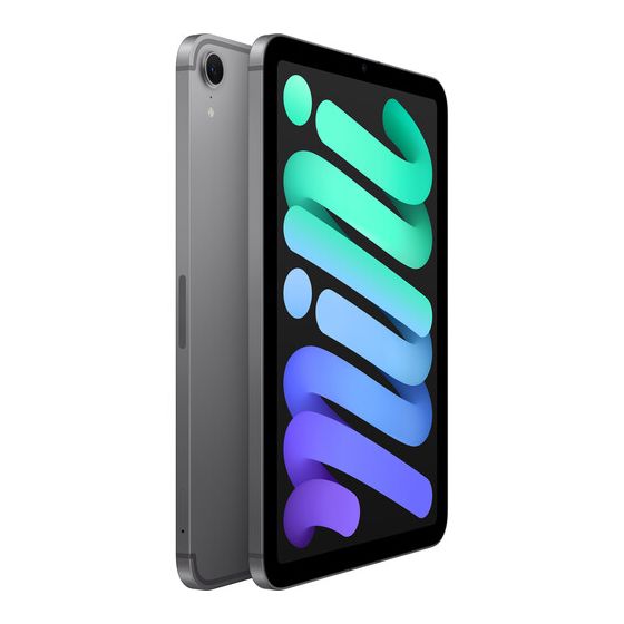 iPad mini Wi-Fi + Cellular 512GB - Space Gray