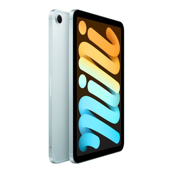 iPad mini Wi-Fi + Cellular 512GB - Blue
