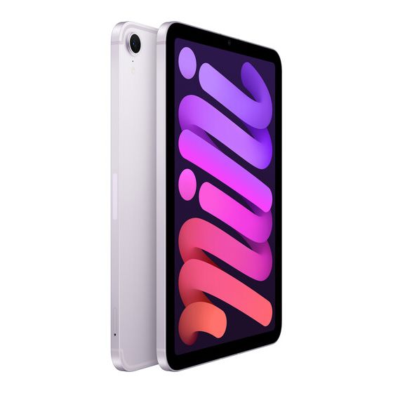 iPad mini Wi-Fi + Cellular 512GB - Purple