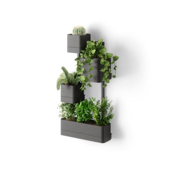 Cubiko Wall Planter Black