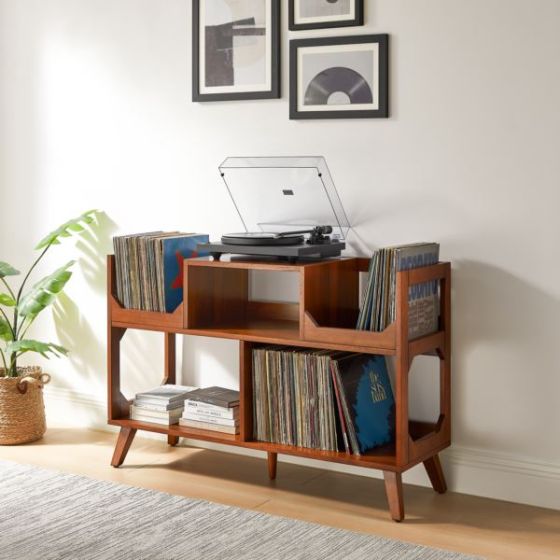 Asheville Large Record Storage Console
