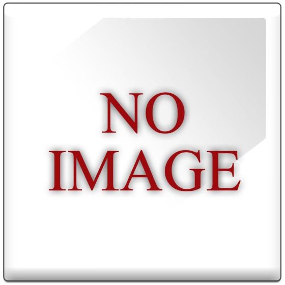 Adult Stabilizer (Training) Wheels