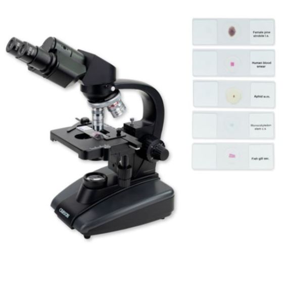 Advanced Compound Microscope Bundle with 5 Prepared Slides