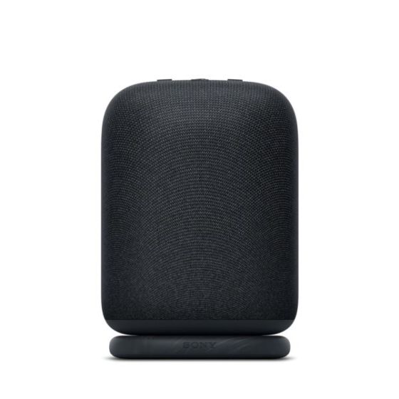 LinkBuds Portable Wireless Speaker Black