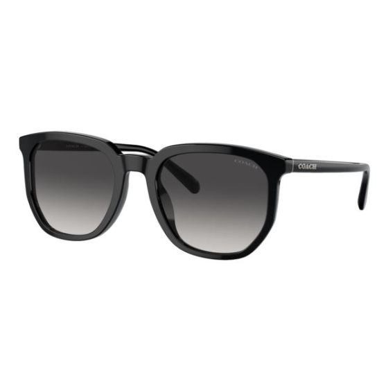 HC8384U Sunglasses