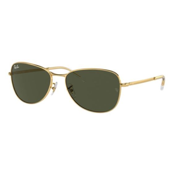 RB3733 Sunglasses
