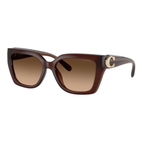 Women's Full Fit Idol Square Cat Eye Sunglasses