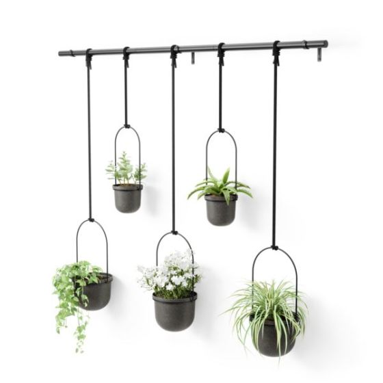 Triflora 5 Hanging Planter Black