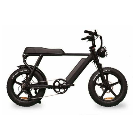 Happy Ernie Electric Bike Gray
