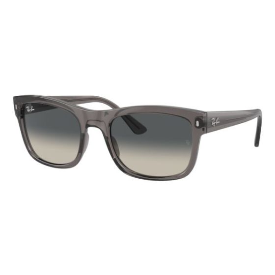 RB4428 Sunglasses