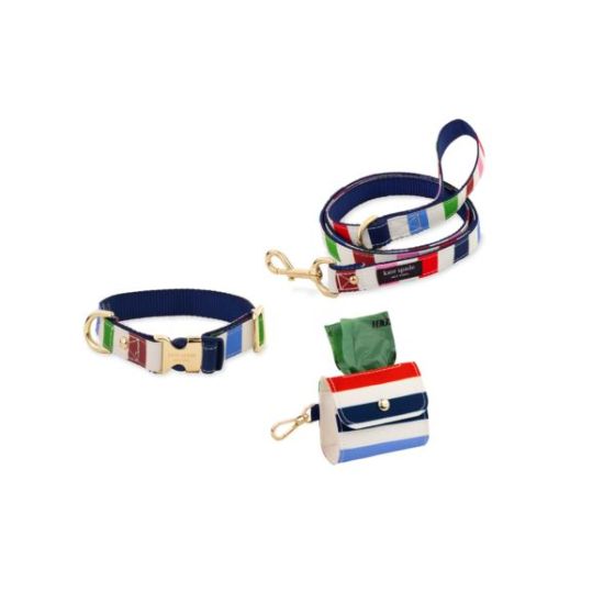 Small/Medium Collar, Leash & Doggie Bag Holder Bundle