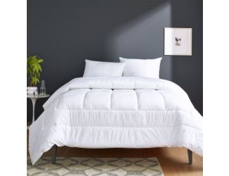 Anti-Allergen Down Alternative Comforter - Queen/Full White