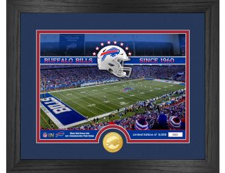 Buffalo Bills Stadium Bronze Coin Photo Mint