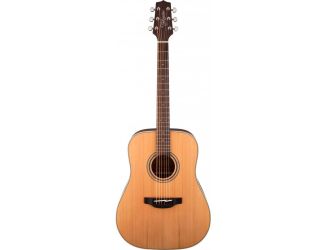 GD20 Acoustic Guitar