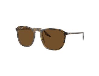 Polarized RB2203 Sunglasses