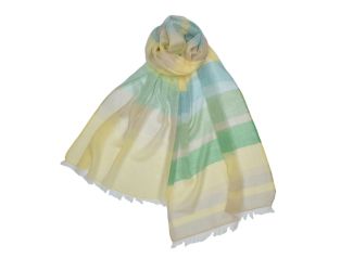 Ledger Striped Scarf