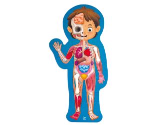 Human Body Puzzle