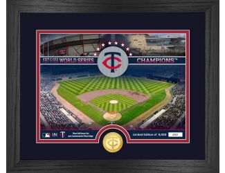 Minnesota Twins Stadium Photo Mint