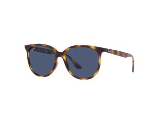 RB4378 Sunglasses