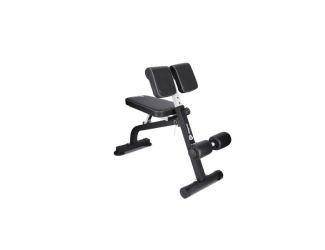 SculptTrainer Multipurpose Roman Chair Gray