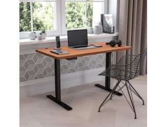 Electric Height Adjustable Standing Desk - 48" Wide x 24" Deep (Mahogany)