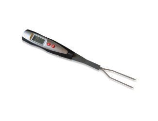 Digital Temperature Fork
