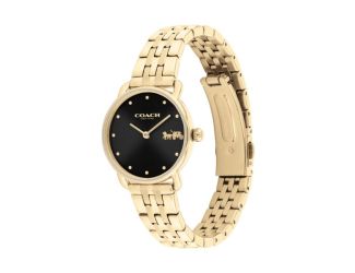 Ladies' Elliot Gold-Tone Stainless Steel Watch Black Dial