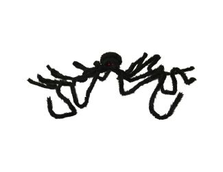 6-ft. Black Spider, Indoor/Covered Outdoor Halloween Decoration, Poseable, Lucifer