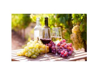 Wine Galaxy's The Taste of Spain - 2 bottles, All White