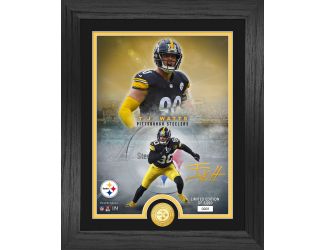 Pittsburgh Steelers NFL Legends Photo Mint
