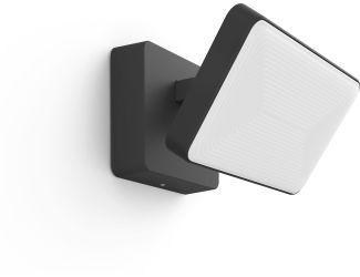 Philips Hue White & Color Ambiance Discover Outdoor Floodlight