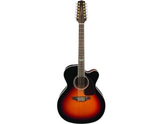 12-String Acoustic-Electric Guitar