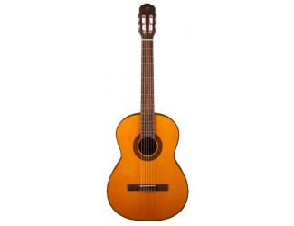 Classical Acoustic Guitar