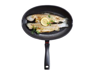 Energy Non-stick Fishpan 13.4"x9"