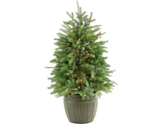 4-Ft. Potted Pine Tree with Clear Lights