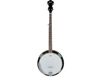 B50 - 5 string Banjo
