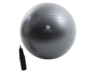 Skelcore 25.6in (65cm) Anti Burst Stability Ball With Pump