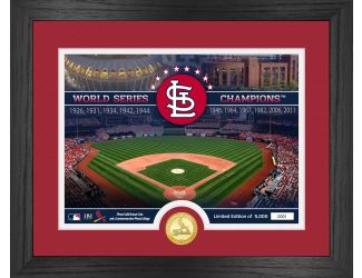 St. Louis Cardinals Stadium Photo Mint