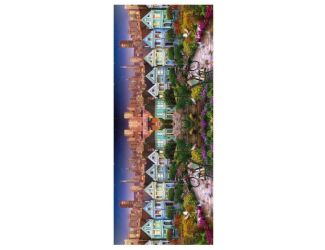 Painted Ladies San Francisco Scarf