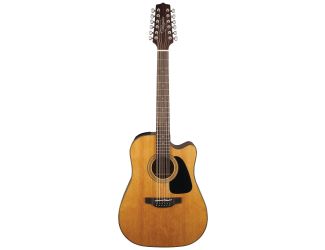 12-String Acoustic-Electric Guitar