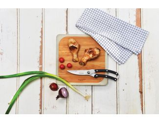 Essential SS Triple Rivited/ABS Handle Poultry Shears Forged